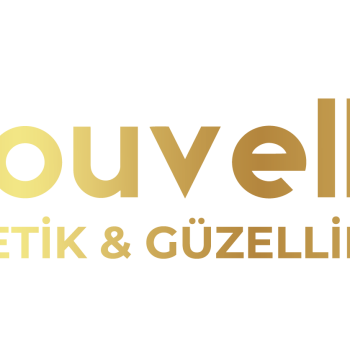 Nouvelle Vie Logo